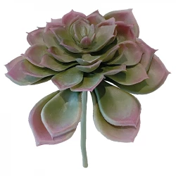 Suckulent, 17cm, Echeveria, konstgjord växt