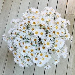 Prästkrage m 4 blommor, 78cm, konstgjord blomma