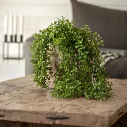 Pilea-hängväxt, 88 cm, Konstgjord växt