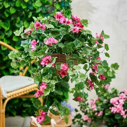 Pelargon, geranium, hängande i korg, UV, 45cm, konstgjord blomma