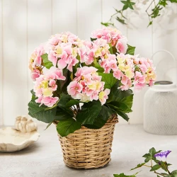 Hortensia rosa, flätkorg, 45cm, konstgjord blomma