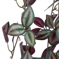 Tradescantia hänger, 85 cm, konstgjord växt