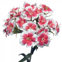 Nejlika, 55cm, pink, konstgjord blomma