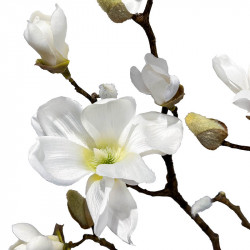 Magnoliagren, 123cm, vit, kontgjord blomstergren