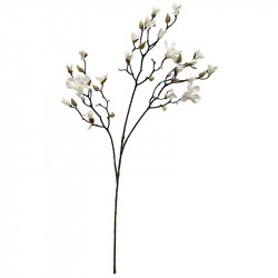 Magnoliagren, 123cm, vit, kontgjord blomstergren