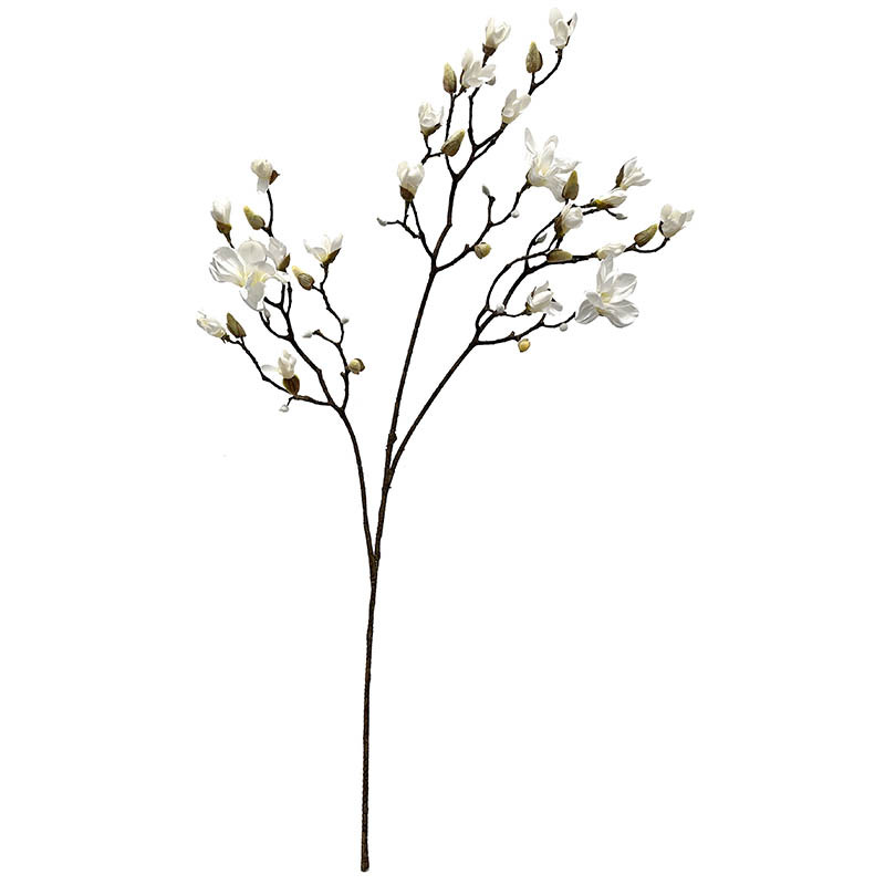 Magnoliagren, 123cm, vit, kontgjord blomstergren