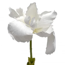 Iris, 103cm, vit, konstgjord blomma