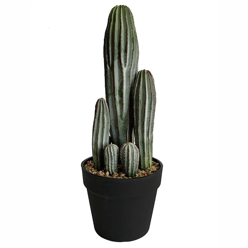 Kaktus i svart kruka, 40 cm, konstgjord växt