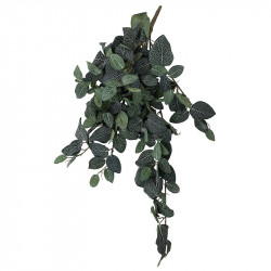 Fittonia hängande, grön/vit, 75 cm, konstgjord växt