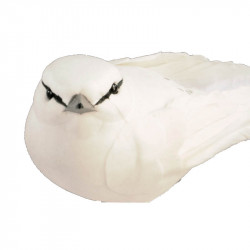 Fågel med klämma, 4x18 cm, vit, konstgjorda djur