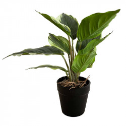 Syddracena växt, grön, 25cm, konstgjord växt