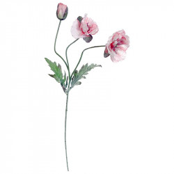 Vallmo, 2 blommor, 1 stängd, rosa, 70cm, konstgjord blomma