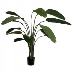 Vit papegojväxt, H190cm, Konstgjord Växt