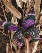 Konstgjorda Fjärilar | Som dekoration eller utsmyckning ⇒ Köp här!