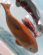 Konstgjorda färgstarka havsdjur till dekorativa föremål | Brøndsholm A/S