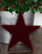 Julgranspynt Stjärnor | Stort urval av julstjärnor | Brøndsholm A/S