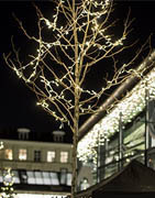 Ljusslingor | Julbelysning och LED-ljusslingor till julen