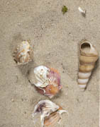 Konstgjorda stenar och sand | Köp dekorationssten och sand online här!
