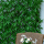 Inred din balkong med UV-skyddade konstgjorda växter: Så dekorerar du din balkon
