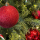Pynta julgranen: Tips på hur du fixar den snyggaste granen